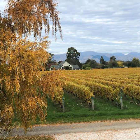 Vineyard Cottage In Blenheim On The Golden Mile Buitenkant foto