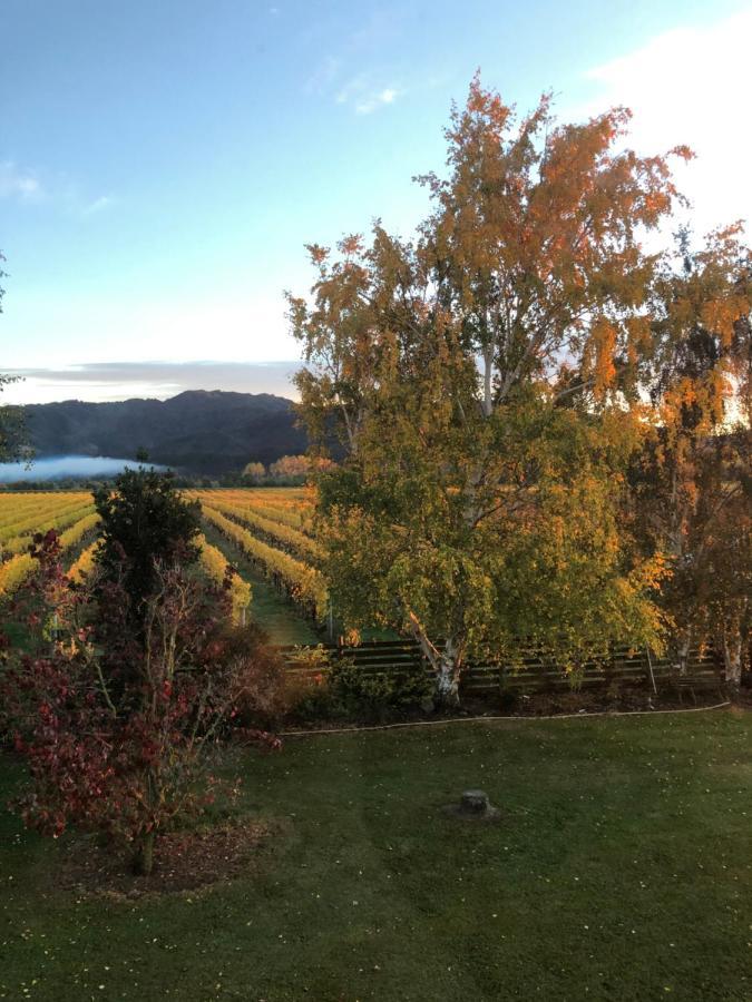 Vineyard Cottage In Blenheim On The Golden Mile Buitenkant foto