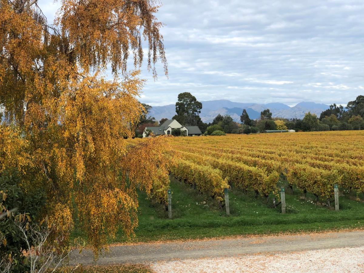 Vineyard Cottage In Blenheim On The Golden Mile Buitenkant foto